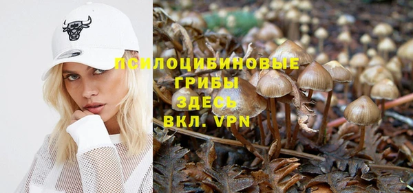 ешки Абинск